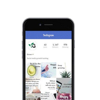 naption.com Report