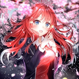 Ecchi Harem Anime Collections