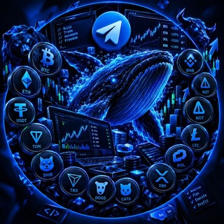 🐋 Whale Safe Zone
