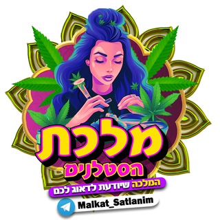 ‼️ מלכת הסטלנים - כמויות ‼️