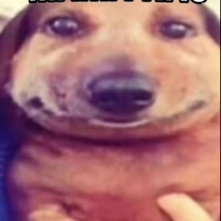 твинкс бро