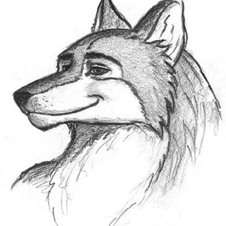 Wulfie Wolf