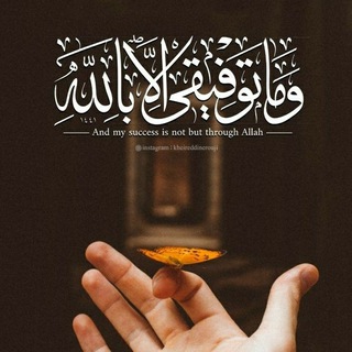 🪧¦ بوت تواصل ¦🖤