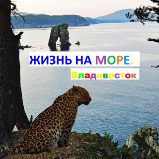 Жизнь на море. Предложка