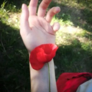 связь/предложка