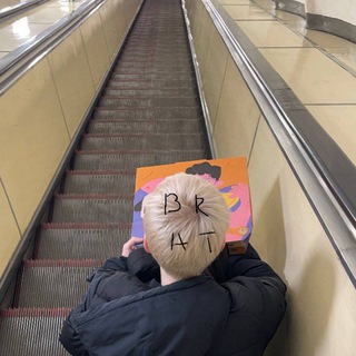 "Damn Boob forever" screams my stupid bunnies. Fuck you, guys