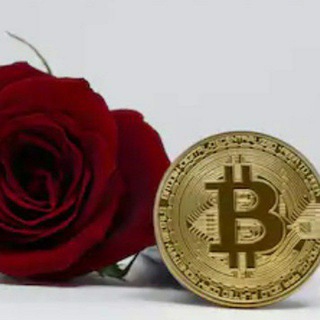 Rose - PH