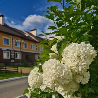 ЛИСТВЕННЫЙ 📢 Доска объявлений 🌲🏡