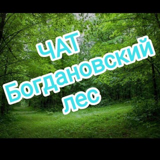 Богдановский лес Chat