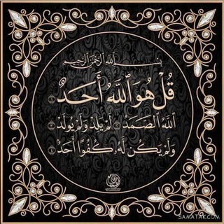 Minooo Mohamdian