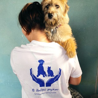 WoWBiGWalK +380978210176