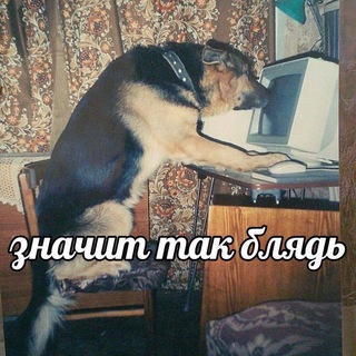 Собака у аппарата