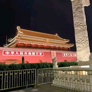 不死鸟的翻身日记.