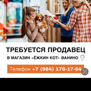 Ёжкин Кот