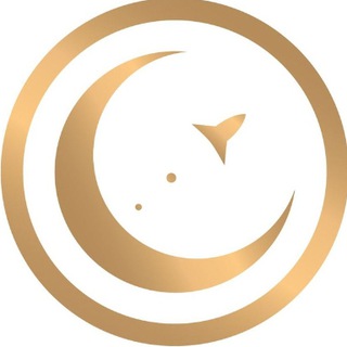 MoonGame Vietnam Community 🇻🇳