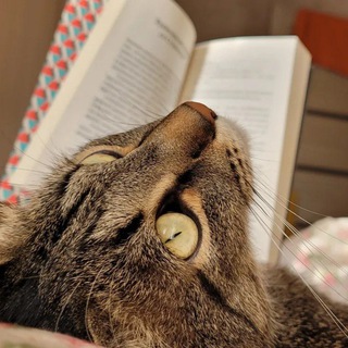 Книгизм Ализы