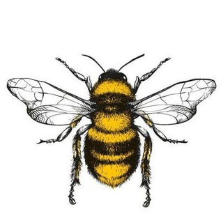 گالری زنبور طلا