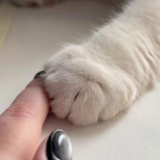 Ювелирно-котишная мемошная