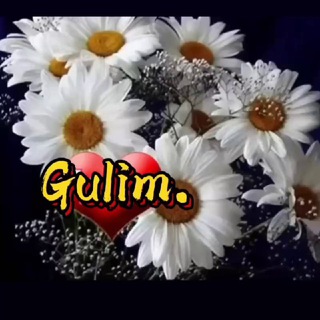 Гулим