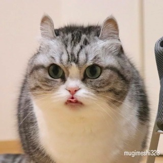 perki