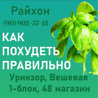 КАК ПОХУДЕТЬ ПРАВИЛЬНО 2 NEW