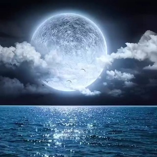 𝑫𝑶𝑳𝑼𝑵𝑨𝒀 🌒 𝑰Ş𝑰𝑳𝑻𝑰𝑺𝑰