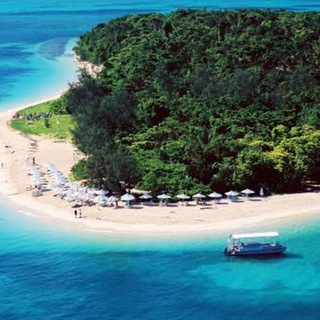 🏞️GREEN🏝️ISLAND💡