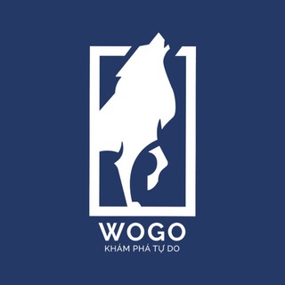 WOGO News📰 Signal🚨