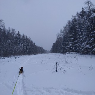 Їзморозь