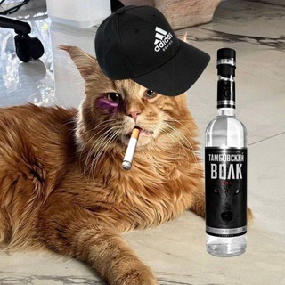 Чат Манюнечек😈