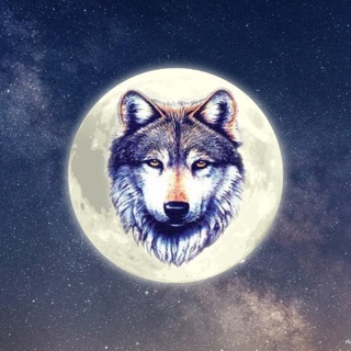 VIÚVA DAY 🐺 Interplanetário 🪐