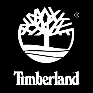 Chollos Timberland