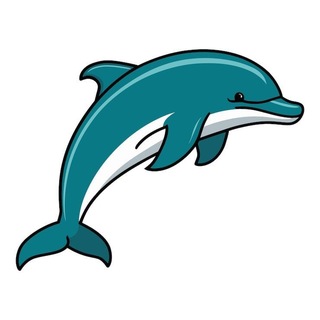Dolphin Community 🐬