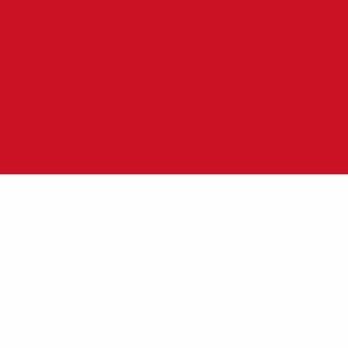 Cari Teman Indonesia