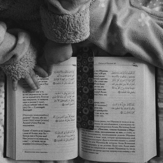 Tauhid🫀