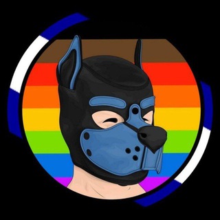 HomoPinguin - Chat