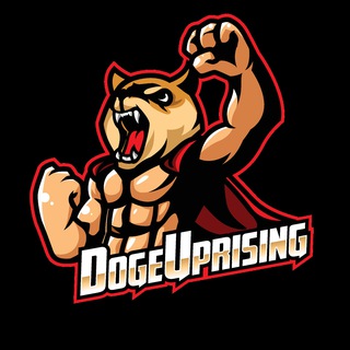 DogeUprising BSC