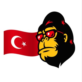 FEG Token Türkiye 🇹🇷