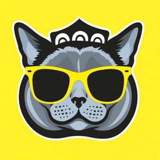 Uzbek Cats