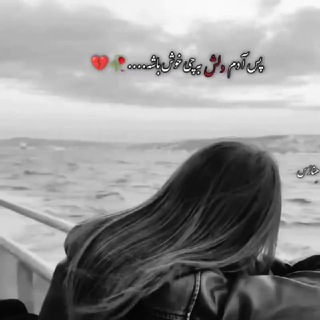 ♥️نگین ♥️