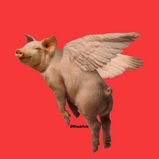 𝙆𝙝𝙤𝙠