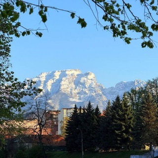 Халипа