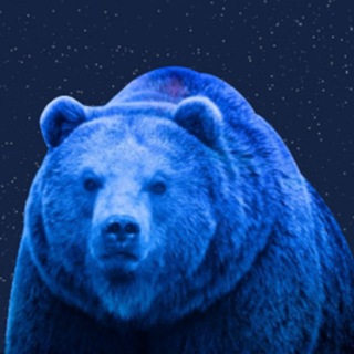 Чат Юридическая Компания «МЕДВЕДЬ»
