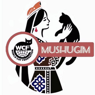Чат для любителей кошек "Mushugim" (WCF) в Ташкенте