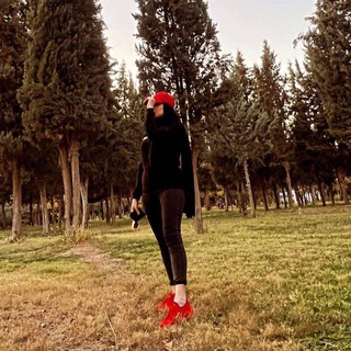 بطه
