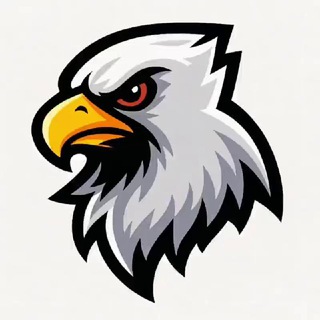 الصقر 🦅