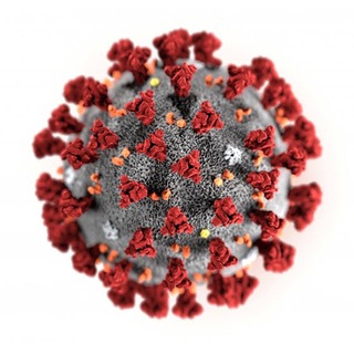 Coronavirus COVID-19