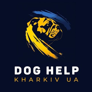 Dog help Kharkiv UA