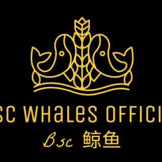BSC Whales Official | Bsc 鲸鱼