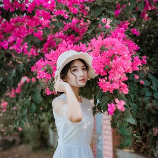 kdrama_Gallery Discussion
